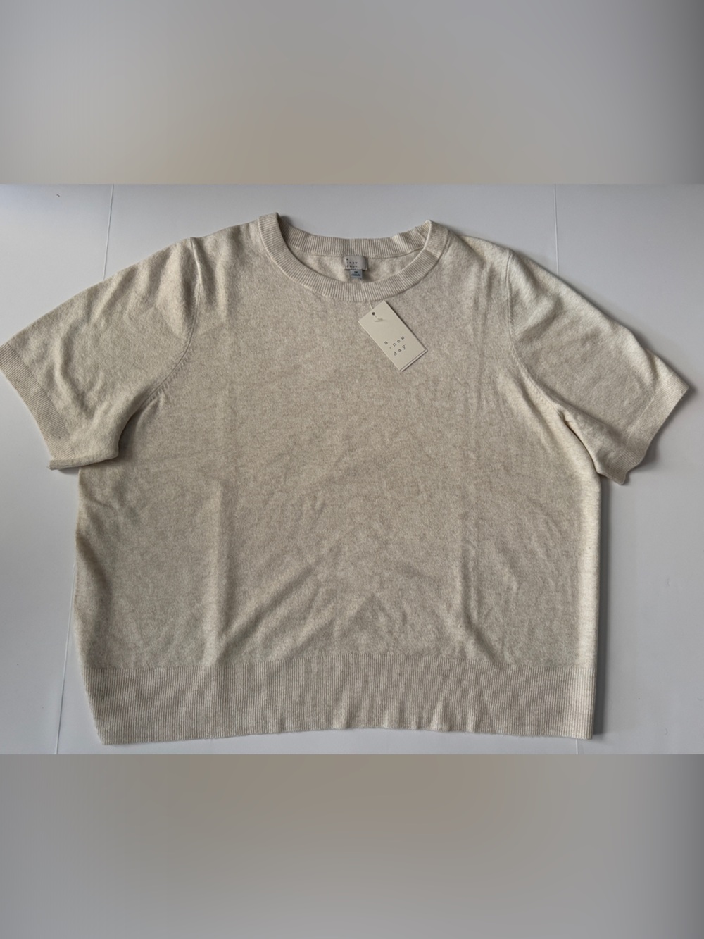 a new day women’s 2X Oatmeal Cream Crewneck Short-Sleeve Sweater cashmere-like